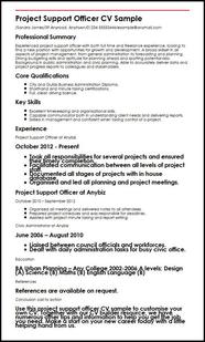 Project Support Officer CV Sample MyPerfectCV