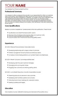 Professional Cv Template 2012 One Page CV Sample